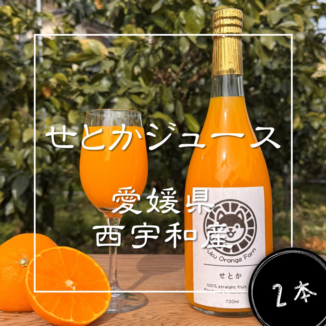 みかんジュース