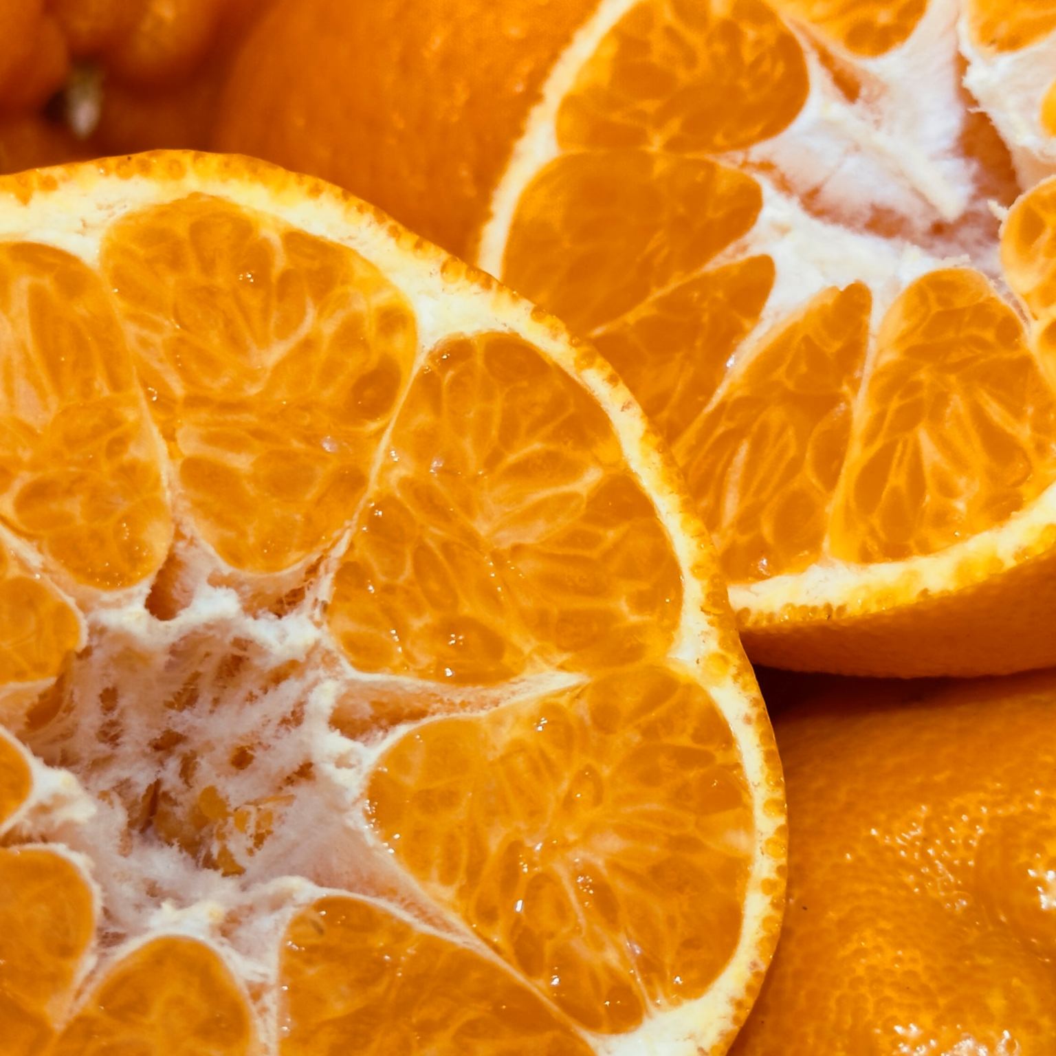 太田ぽんかんの写真